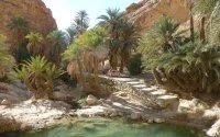 Tunesische minister van Toerisme: "Zuiden van Tunesië mooier dan Marrakech"