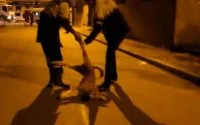 Marokko: massaslachting zwerfhonden in Tanger