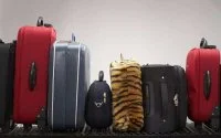 Staking bagage-afhandelaar luchthaven Casablanca gedaan