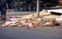 Eid ul-Adha: ruim 7000 ton afval in straten Tanger