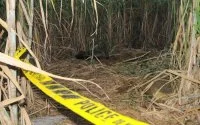 Buurt in shock na vondst lichaam in Settat
