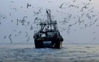 Chinese vissersboten in Marokkaanse wateren