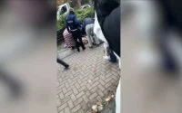 Marokkaanse vrouw op straat neergestoken in Brussel