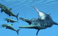 Nieuwe Mosasaurus ontdekt in Marokko