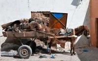 Nieuwe stad in Marokko weigert door dieren getrokken karren