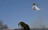 Bosbrand Al Hoceima na 3,7 hectare onder controle