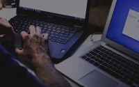 Cybercriminaliteit