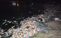 Zeldzaam fenomeen op strand Chefchaouen 