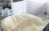Ecuador wil rijstoverschot in Marokko dumpen 