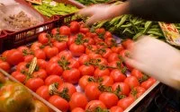 Franse media in oorlog tegen Marokkaanse tomaten