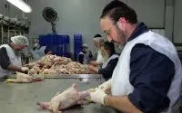 Marokko richt zich op de koosjere markt