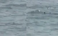 Lichaam vermiste tiener gevonden in zee bij Fnideq