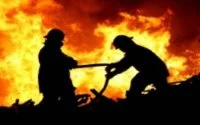 Ruim 450 hectare bos verwoest door brand in Marokko