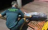 Marokkanen krijgen celstraf in Spanje voor vangst blauwvintonijn