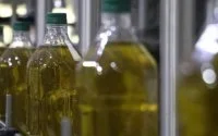 De paradoxen van Marokkaanse olijfolie