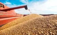 Marokko ontvangt 60.000 ton graan uit Kazachstan