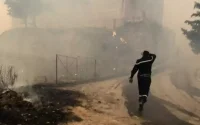 Bosbranden in Algerije: de reactie van Marokko