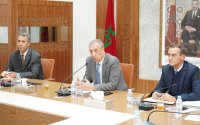 Koning Mohammed VI straft wali's na schending instructies