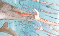 Fossiel van Mosasaurus ontdekt in Marokko, met niet eerder geziene 'schroevendraaier-tanden' 