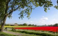 Wassenaar