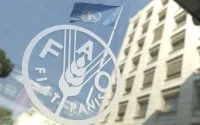 FAO