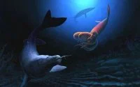 Marokko: ontdekking 66 miljoen jaar oude mosasaurus