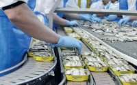 Geen sardines meer in Europese supermarkten... door Marokko