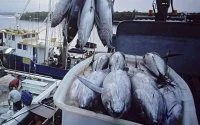Russische schepen mogen in Marokkaanse wateren vissen