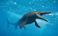 Zeldzaam watermonster ontdekt in Marokko