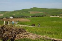 Marokko besteedt 4,4 miljard dirham aan platteland