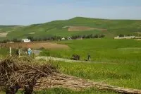 Marokko besteedt 4,4 miljard dirham aan platteland