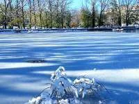 Ifrane is 2e properste stad ter wereld