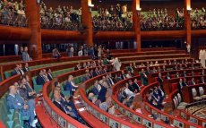 Marokko: parlement stemt over cannabis en witwaspraktijken