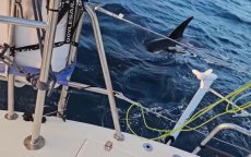 Nieuwe orkaanval voor kust Marokko