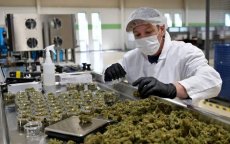 Al Hoceima bouwt industriezone voor cannabisverwerking