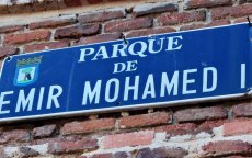 Eeuwen na Al-Andalus keert Arabisch terug in Spanje 