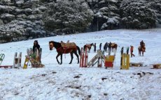 Drukte richting sneeuwgebieden in Marokko