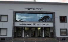 Marokkaanse universiteiten in Arabische top 30