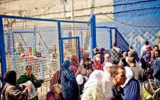 Ruim 3000 Syriërs naar Spanje met vals Marokkaans paspoort