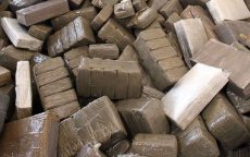 Politie onderschept twee ton cannabis in Tetouan