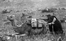 Spanjaarden zijn er zeker van: Spanje gebruikte chemische wapens in Rifoorlog