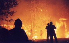 Natuurbrand verwoest 50 hectare bos in Tetouan