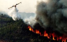 Bosbrand vernielt 95 hectare bos in Chefchaouen