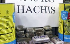 Kilo's hasj tussen olijven gevonden in Algeciras