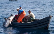 Spaanse kustwacht opent vuur op Marokkaanse vissers