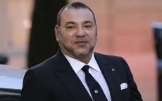 Koning Mohammed VI in India verwacht voor top India-Afrika