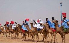 Sahara: Koning Mohammed VI lanceert ontwikkelingsplan van 140 miljard