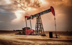 Ook Shell zoekt naar olie in Marokko