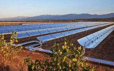 Marokko nieuwe wereldleider in zonne-energie