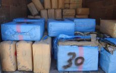 Ruim 600 kilo drugs onderschept in Souk El Arba